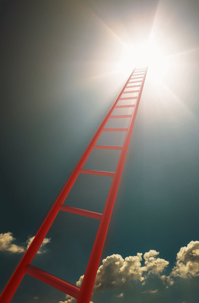 کیف زنانه رنگی: بررسی تجربیات نی نی سایت